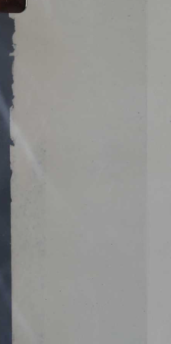 Anita Ekberg 1950s American Life Size Pin-Up Poster Paper 157cm x 55cm Vintage